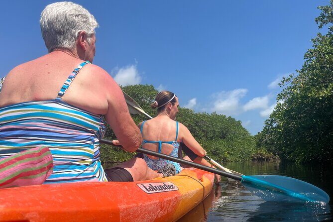 Snorkeling Activity in a Cenote Expedition - Final Thoughts: Is This Tour Right for You?
