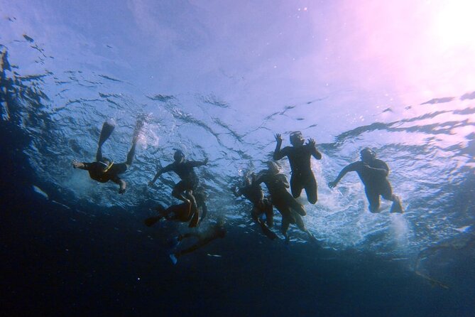 Snorkeling Activity in Aqaba With Lunch and Transportation (Boat) - Activity Overview