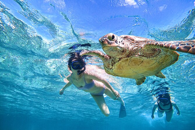 Snorkeling Activity in Miyako Japan - Snorkeling Equipment Provided