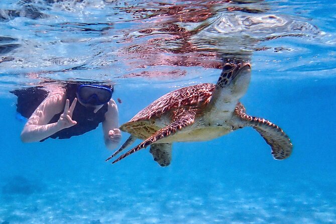 Snorkeling Activity in Miyako Japan - Suitable for All Skill Levels