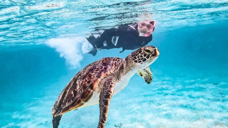 Snorkeling Activity in Okinawa Miyako Japan - The Sum Up