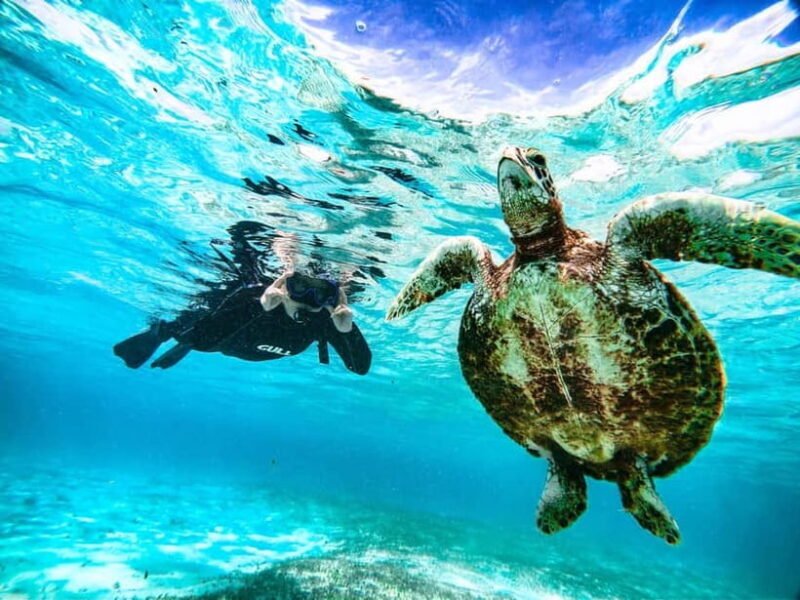 Snorkeling Activity in Okinawa Miyako Japan - Good To Know