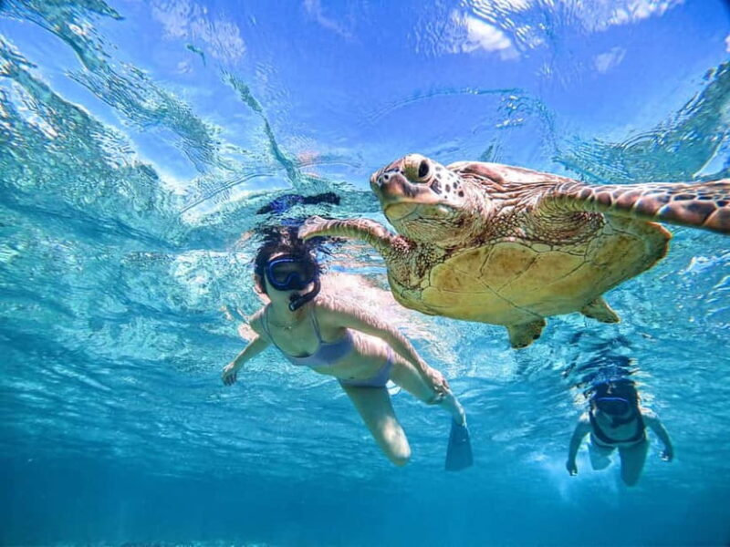 Snorkeling Activity in Okinawa Miyako Japan - Practical Tips for Your Tour