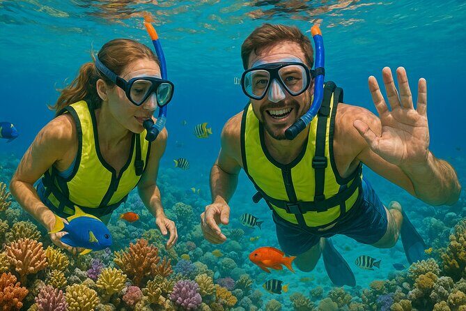 Snorkeling adventure at Puerto Morelos Reef National Park - Who Is This Tour Perfect For?
