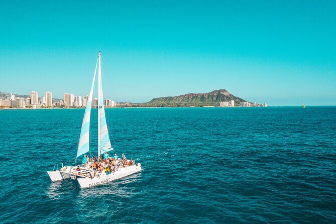 Snorkeling Adventure at Turtle Canyon - Why This Snorkeling Trip Is a Great Choice