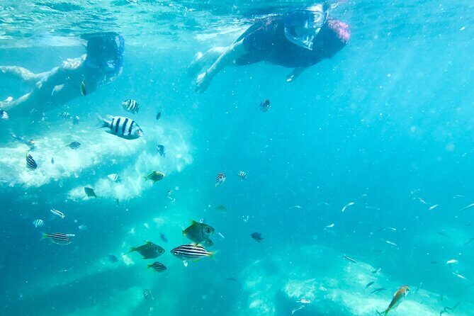 Snorkeling Adventure for Kids with Private Guide In Sydney - Photos and Memories