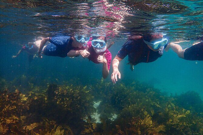 Snorkeling Adventure for Kids with Private Guide In Sydney - The Guides: Knowledgeable and Caring
