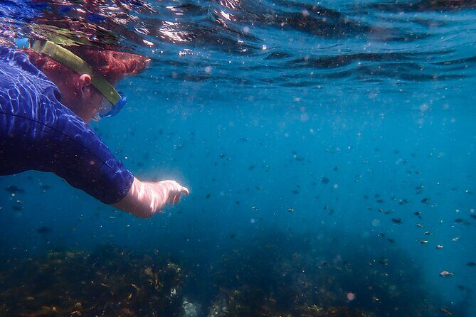 Snorkeling Adventure for Kids with Private Guide In Sydney - Practical Tips for Your Family