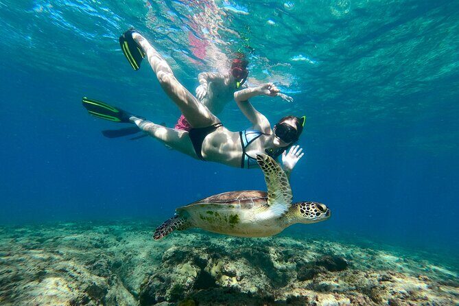 Snorkeling Adventure in Aguadilla - Good To Know