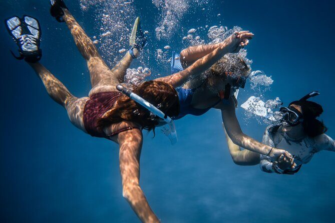 Snorkeling Adventure in Caloura, S. Miguel - Good To Know