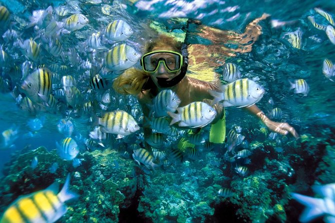 Snorkeling Adventure in Isla Mujeres - The Sum Up