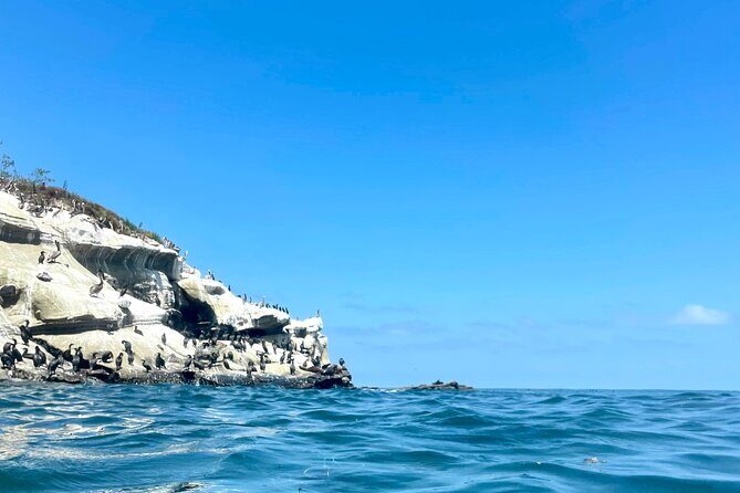 Snorkeling Adventure in La Jolla - The Perfect Fit for Who?