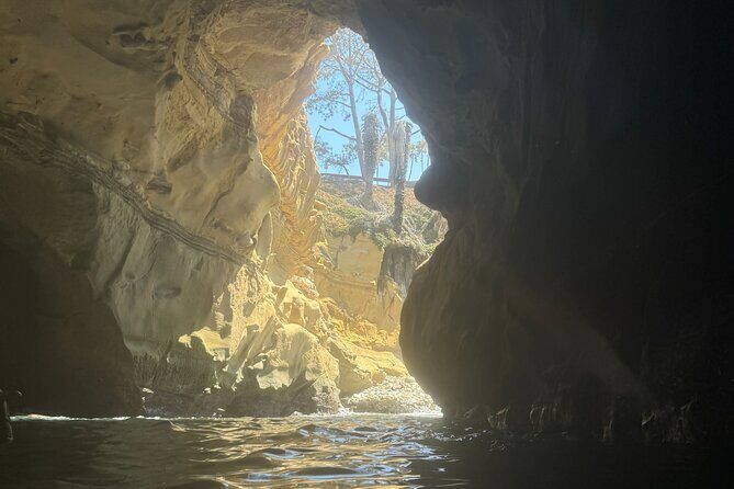 Snorkeling Adventure in La Jolla - FAQs