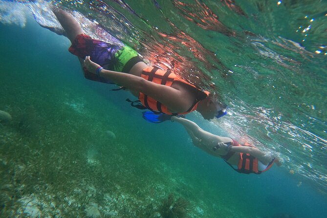 Snorkeling Adventure in Puerto Morelos Includes Snack, Water and Round Trip. - Customer Reviews
