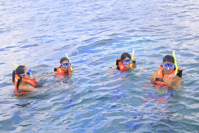 Snorkeling Adventure in Puerto Morelos Includes Snack, Water and Round Trip. - Overall Satisfaction and Recommendations