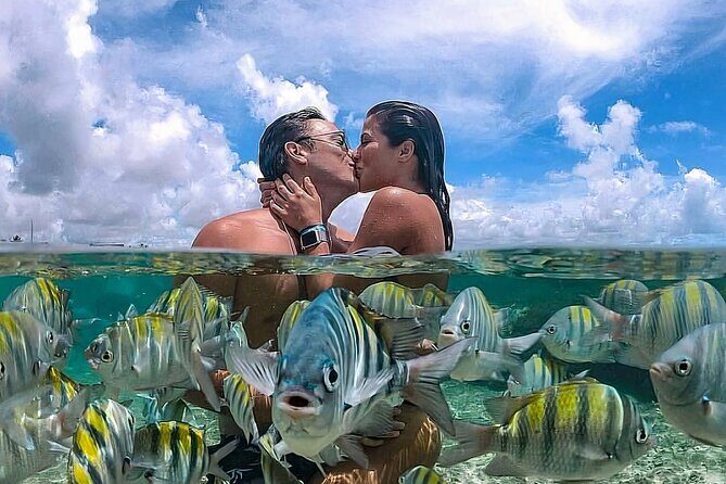 Snorkeling Adventure in Tulum Beach, Kaan Luum Lagoon and Cenote - An In-Depth Look at the Tour Experience