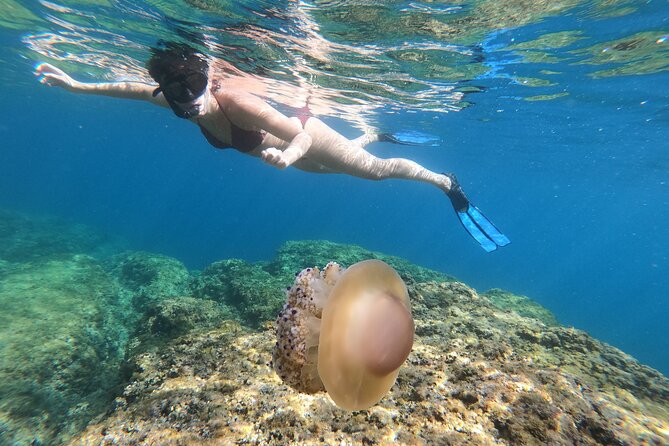 SNORKELING ADVENTURE | Pula Boat - Overview