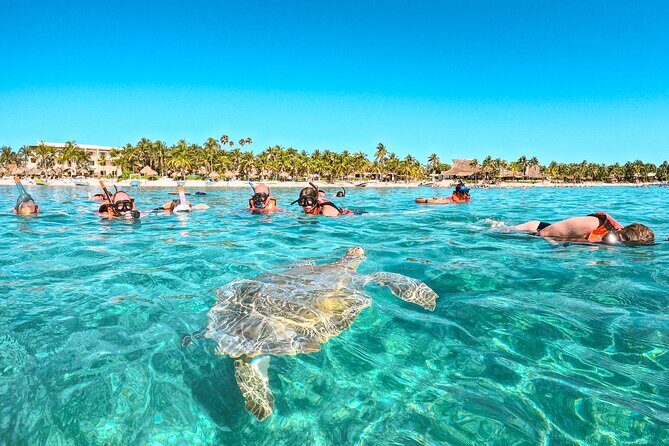 Snorkeling Adventure Swim with Sea Turtles at Akumal - FAQs