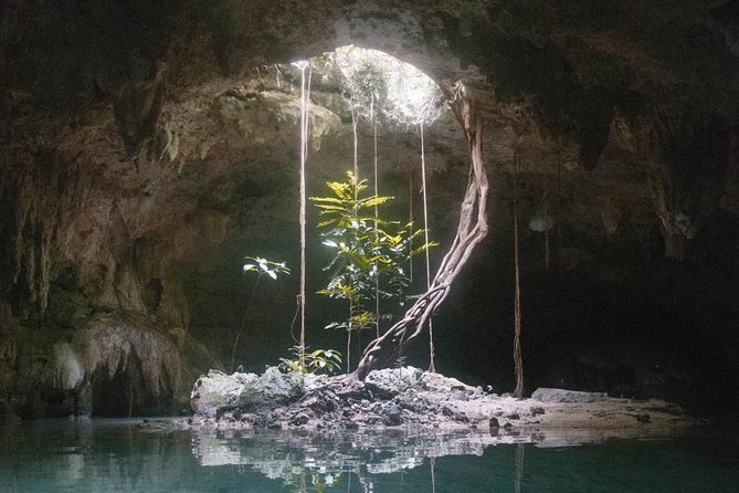 Snorkeling Adventure Tour Reef & Cenote - Common Questions