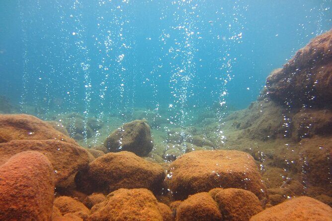 Snorkeling Adventure with Guide - Practical Details and Tips