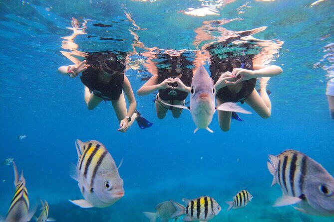 Snorkeling Adventure with Lunch and Tequila Tour - Who Should Consider This Tour?