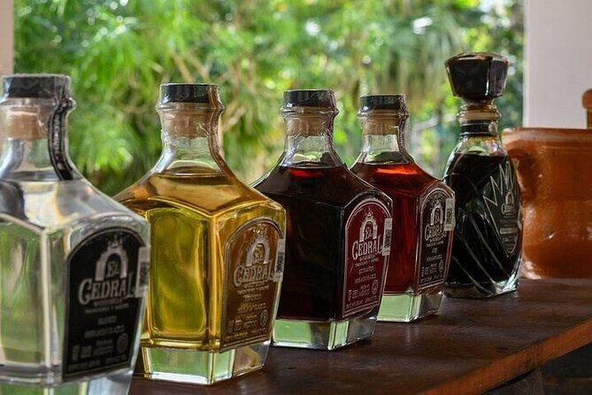 Snorkeling Adventure with Lunch and Tequila Tour - Final Thoughts