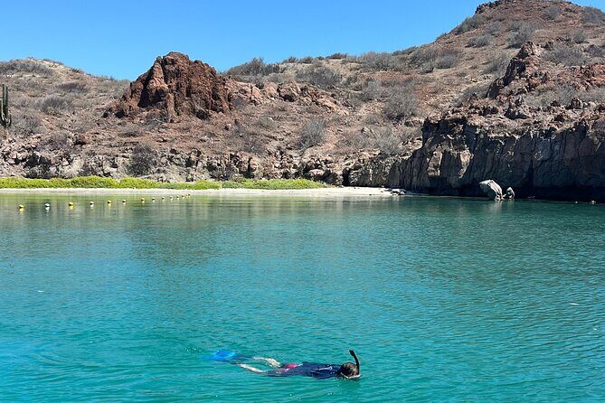 Snorkeling Adventure with Picnic from Villa del Palmar Hotel - Good To Know