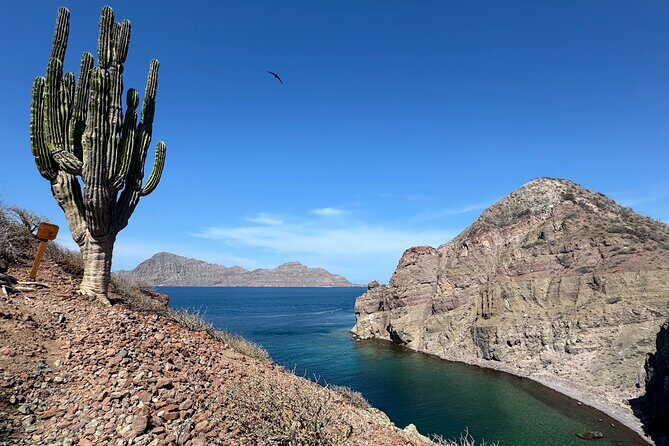 Snorkeling Adventure with Picnic from Villa del Palmar Hotel - Practical Tips for Making the Most of the Tour