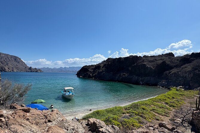 Snorkeling Adventure with Picnic from Villa del Palmar Hotel - Final Thoughts