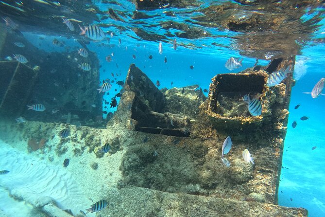Snorkeling Adventure With Turtles for All, Even Non-Swimmers - Additional Information