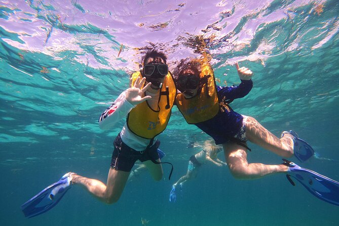 Snorkeling Adventure With Turtles for All, Even Non-Swimmers - Common Questions
