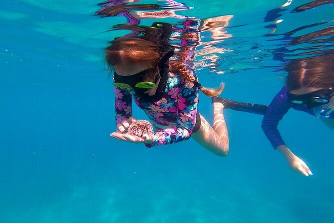 Snorkeling Aguadilla for Families with Children - What to Expect from the Snorkeling Aguadilla Tour