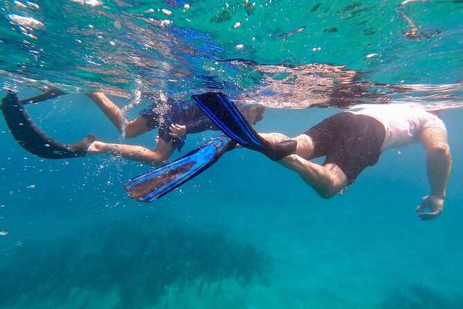 Snorkeling Aguadilla for Families With Children - Snorkeling Gear Provided for Children