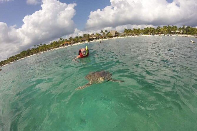 Snorkeling Akumal - Reviews and Ratings From Viator and Tripadvisor