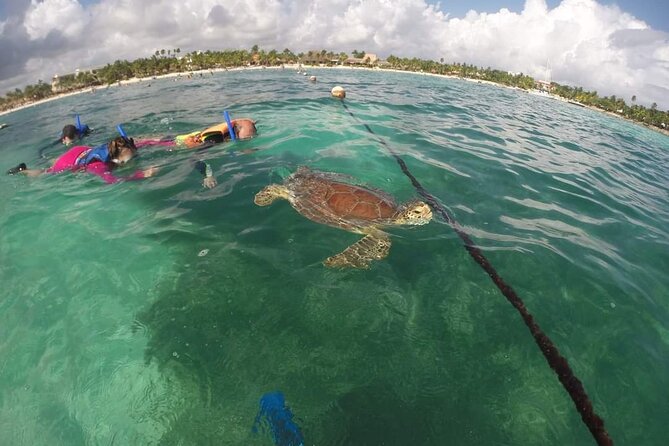 Snorkeling Akumal - Common Questions