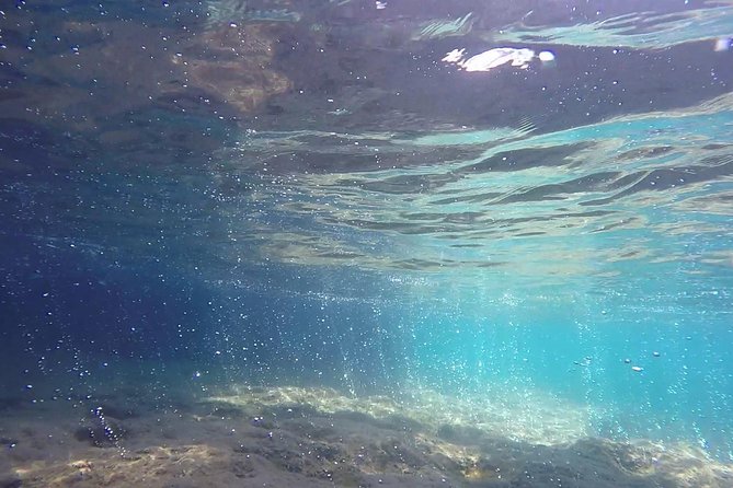 Snorkeling Among the Underwater Caves of Ischia Ponte - Logistics and Meeting Point