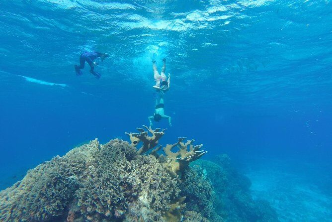 Snorkeling and Beach Club Access in Cozumel with Lunch - Good To Know