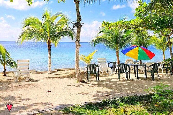 Snorkeling and Beach Club Access in Cozumel with Lunch - Who This Tour Is Best For