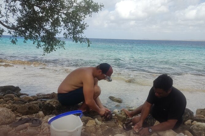 Snorkeling and Grilling Fresh Fish at Donkey Beach - Grilling Techniques for the Perfect Meal