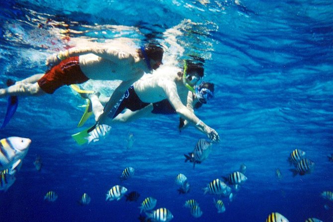 Snorkeling and Recreational Trip Tosharm El Naga Bay From Hurghada - Booking Details