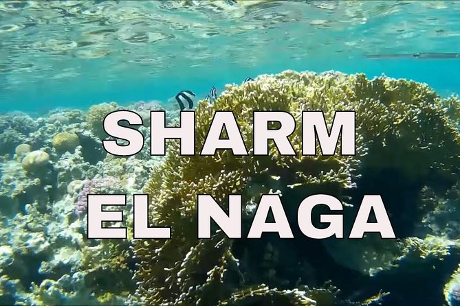 Snorkeling and Recreational Trip Tosharm El Naga Bay From Hurghada - Directions and Departure