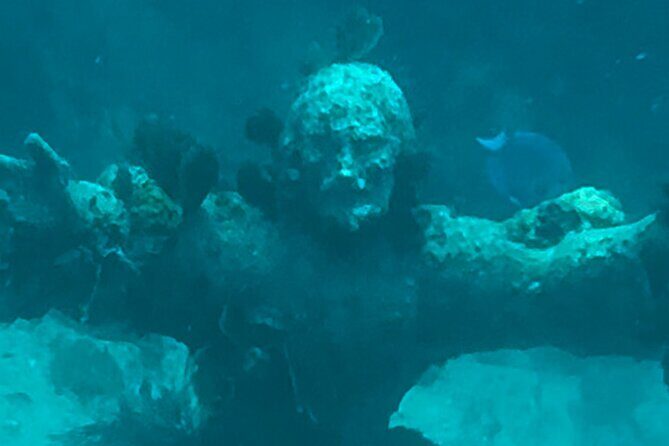 SNORKELING and SANDBAR ADVENTURE! - An In-Depth Look at the Experience