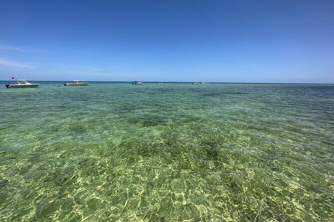 SNORKELING and SANDBAR ADVENTURE! - FAQ