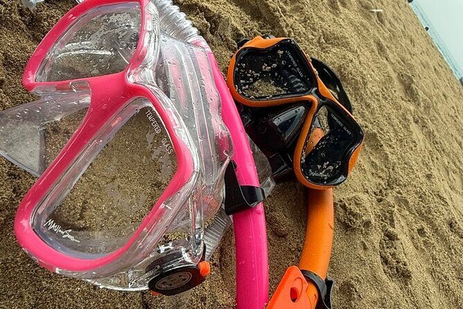 Snorkeling and Sightseeing Tour Explore Puerto Rico Marine Life - Good To Know