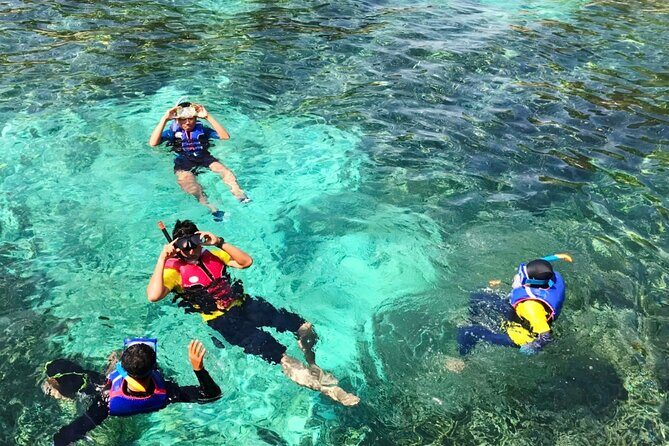 Snorkeling and Swimming in Phu Quoc 1 day trip - Who Is This Tour Best For?