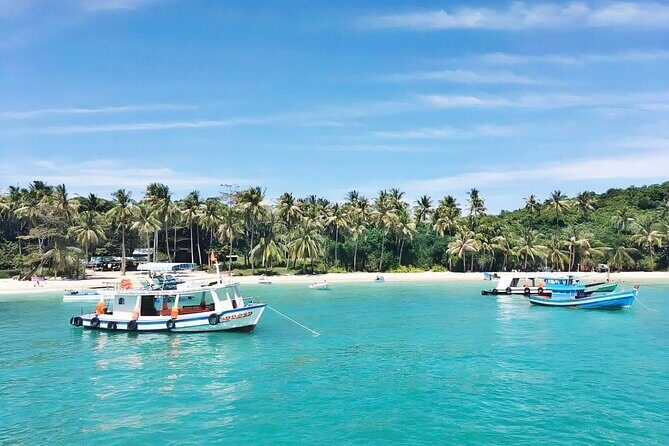 Snorkeling and Swimming in Phu Quoc 1 day trip - Who Should Book This Tour?