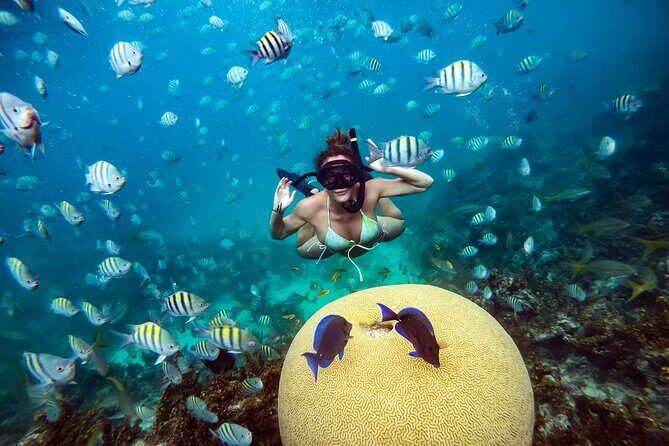 Snorkeling and Swimming on a Caribbean Cruise by Sharky Catamarans - Final Thoughts