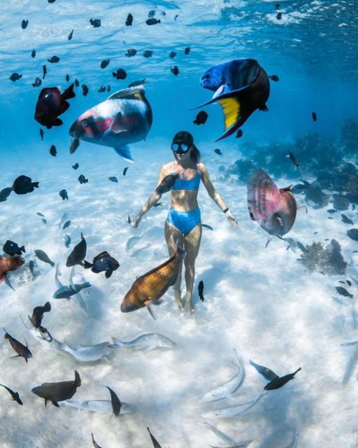 Snorkeling at Blue Lagoon and Waterfall - All Inclusive - Activity Details