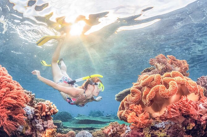 Snorkeling at Blue Lagoon Bali With Lunch and Transport - Enjoy a Delicious Lunch in Bali