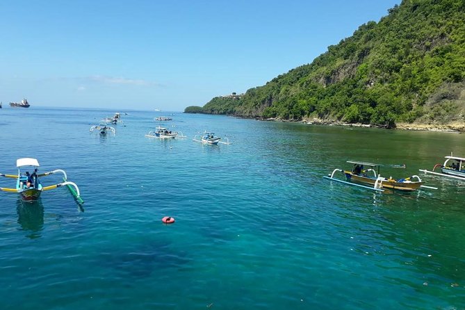 Snorkeling at Blue Lagoon for Walking Customers - Overview of Blue Lagoon Snorkeling